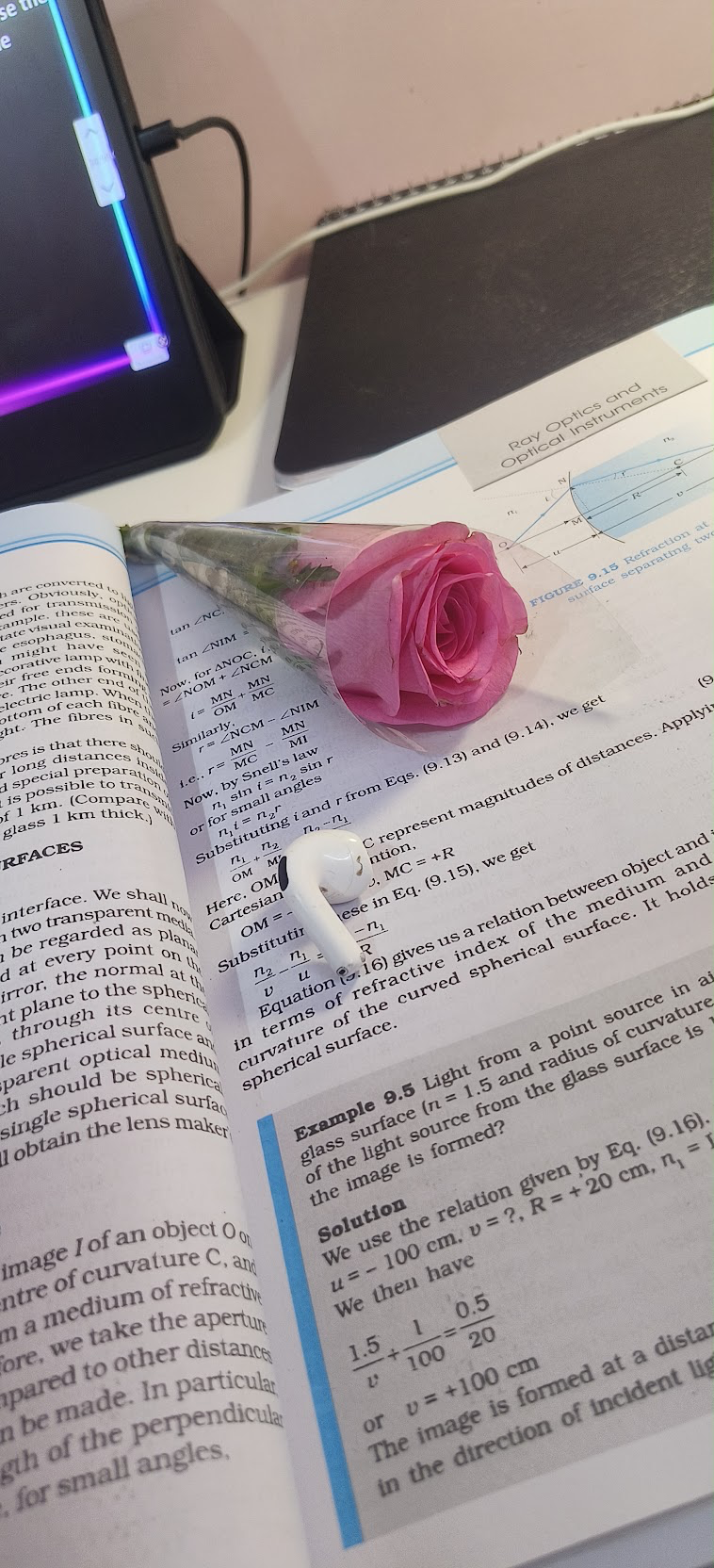 First Rose